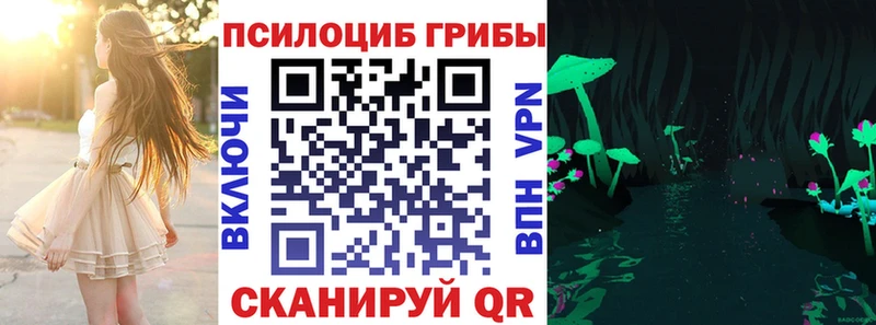 купить закладку  Сокол  Псилоцибиновые грибы Psilocybine cubensis 
